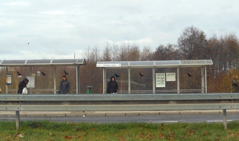 Miejskie przystanki autobusowe z nowymi nazwami 